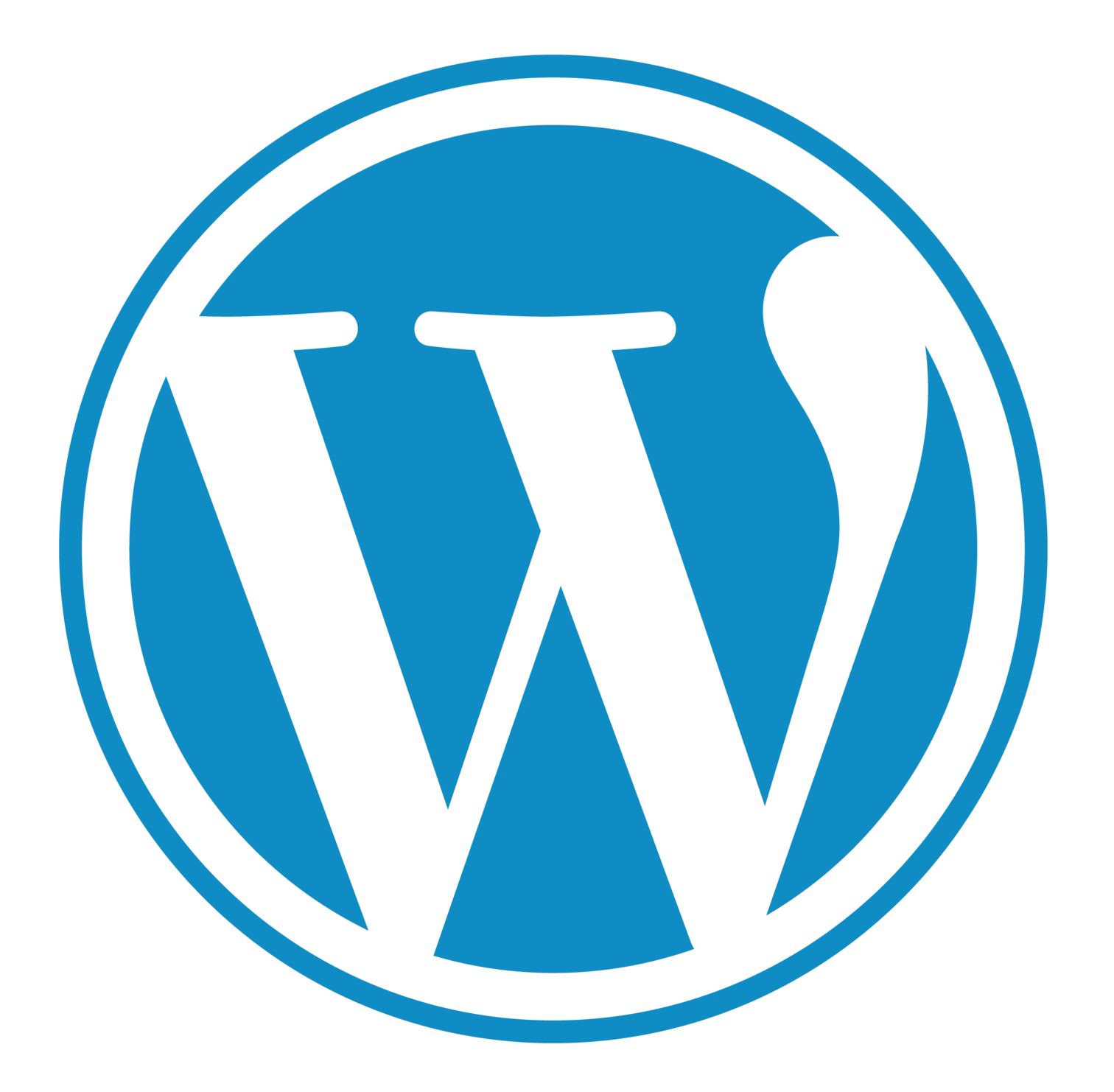 wORDPRESS